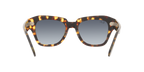 Ray-Ban 0RB2186 STATE STREET
