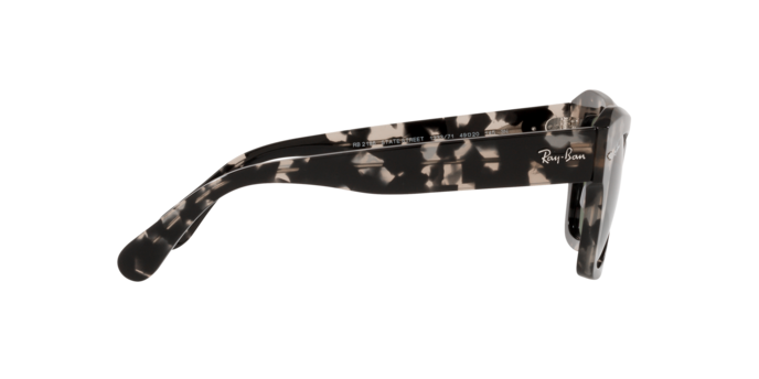Ray-Ban 0RB2186 STATE STREET