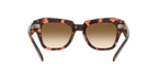 Ray-Ban 0RB2186 STATE STREET