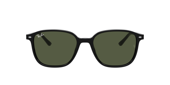 Ray-Ban 0RB2193 LEONARD