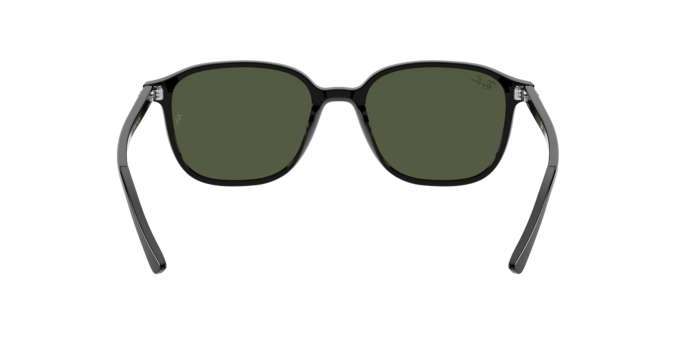 Ray-Ban 0RB2193 LEONARD