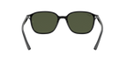 Ray-Ban 0RB2193 LEONARD