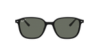 Ray-Ban 0RB2193 LEONARD