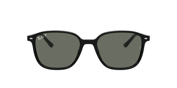 Ray-Ban 0RB2193 LEONARD