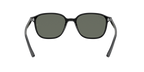 Ray-Ban 0RB2193 LEONARD