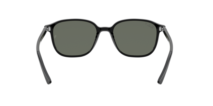 Ray-Ban 0RB2193 LEONARD