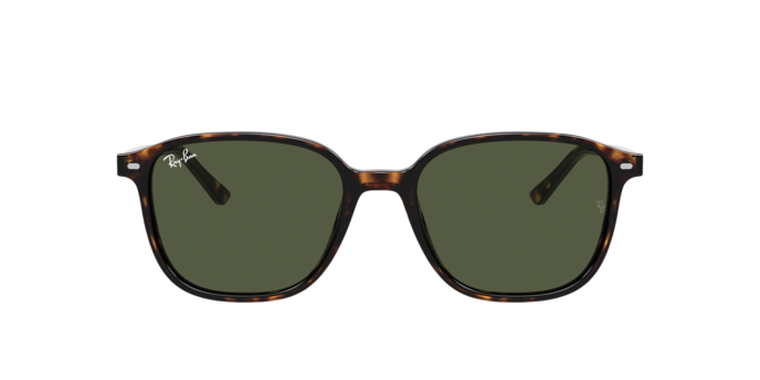 Ray-Ban 0RB2193 LEONARD
