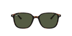Ray-Ban 0RB2193 LEONARD