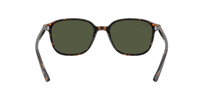 Ray-Ban 0RB2193 LEONARD
