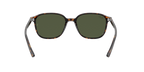 Ray-Ban 0RB2193 LEONARD
