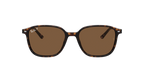 Ray-Ban 0RB2193 LEONARD