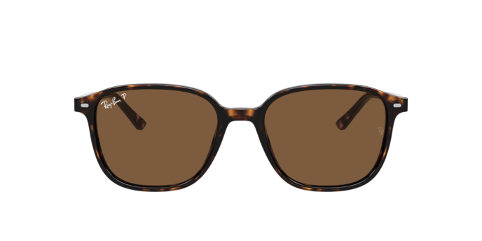 Ray-Ban 0RB2193 LEONARD