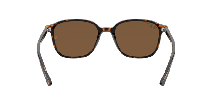 Ray-Ban 0RB2193 LEONARD
