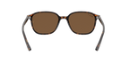 Ray-Ban 0RB2193 LEONARD