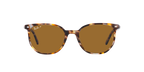 Ray-Ban 0RB2197 ELLIOT