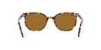 Ray-Ban 0RB2197 ELLIOT