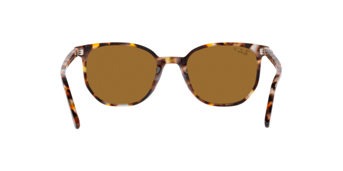 Ray-Ban 0RB2197 ELLIOT