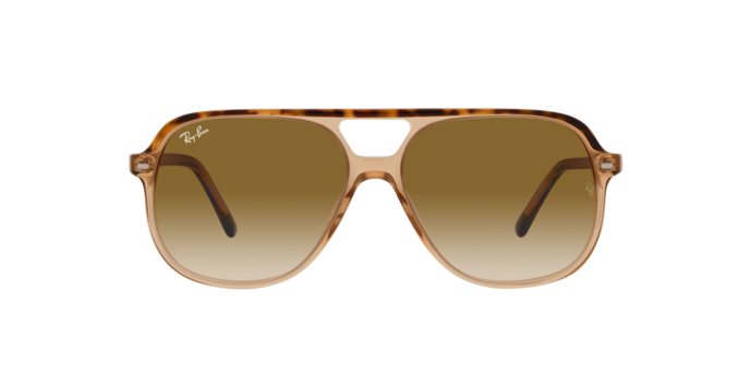 Ray-Ban 0RB2198 BILL