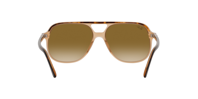 Ray-Ban 0RB2198 BILL