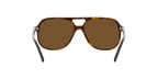 Ray-Ban 0RB2198 BILL