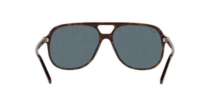 Ray-Ban 0RB2198 BILL