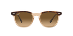 Ray-Ban 0RB2298 HAWKEYE