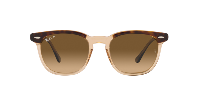 Ray-Ban 0RB2298 HAWKEYE