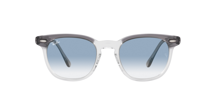 Ray-Ban 0RB2298 HAWKEYE