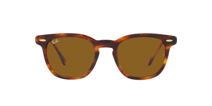 Ray-Ban 0RB2298 HAWKEYE