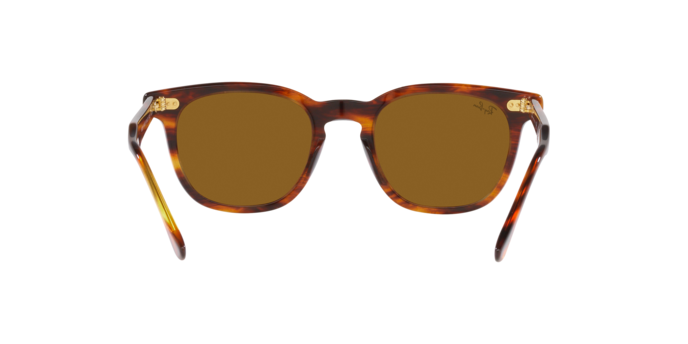 Ray-Ban 0RB2298 HAWKEYE