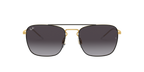 Ray-Ban 0RB3588