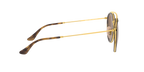 Ray-Ban 0RB3647N