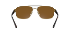 Ray-Ban 0RB3663