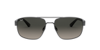 Ray-Ban 0RB3663