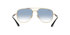 Ray-Ban 0RB3683