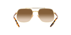 Ray-Ban 0RB3699