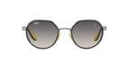 Ray-Ban 0RB3703M