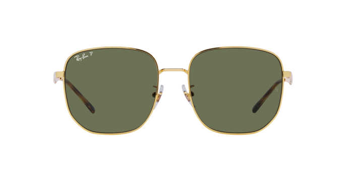 Ray-Ban 0RB3713D