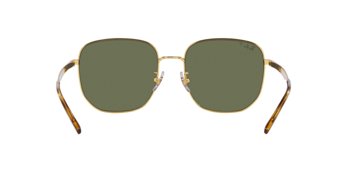 Ray-Ban 0RB3713D