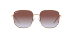 Ray-Ban 0RB3713D
