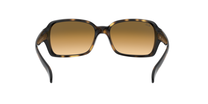 Ray-Ban 0RB4068 RB4068