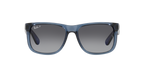 Ray-Ban 0RB4165 JUSTIN