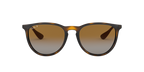 Ray-Ban 0RB4171F ERIKA