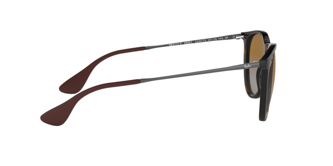 Ray-Ban 0RB4171F ERIKA
