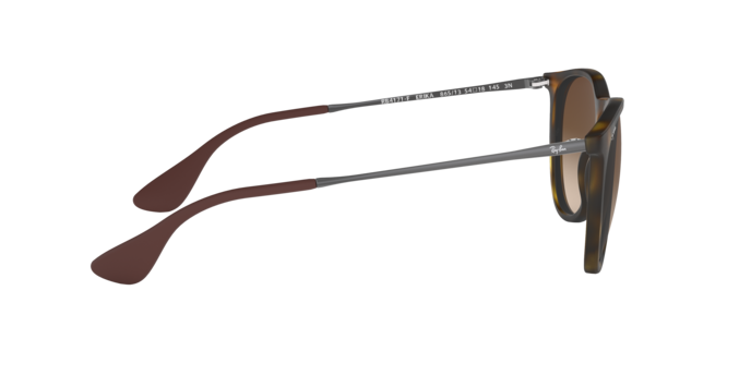 Ray-Ban 0RB4171F ERIKA