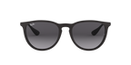 Ray-Ban 0RB4171 ERIKA
