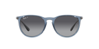 Ray-Ban 0RB4171 ERIKA