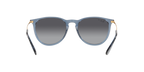 Ray-Ban 0RB4171 ERIKA