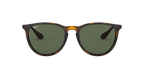 Ray-Ban 0RB4171 ERIKA
