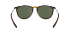 Ray-Ban 0RB4171 ERIKA